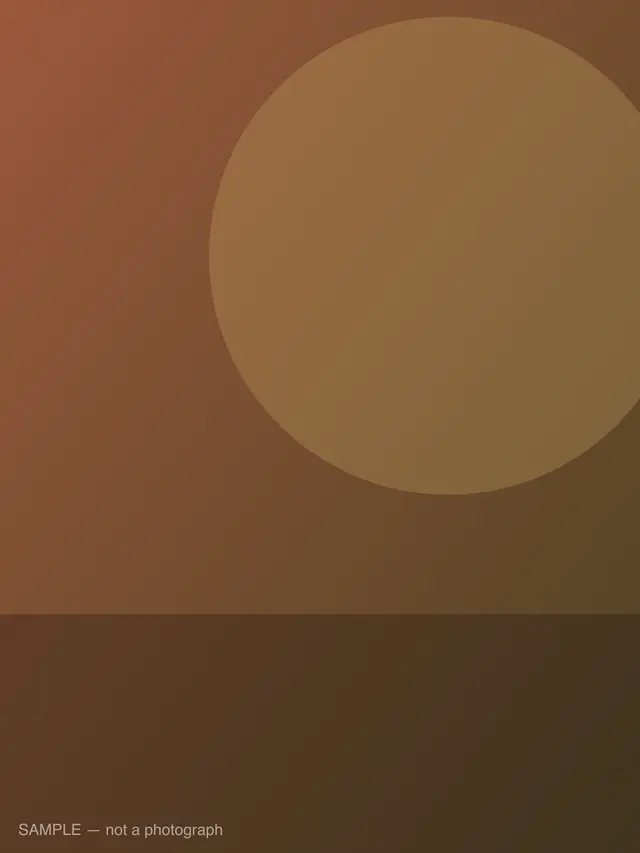 Sopa